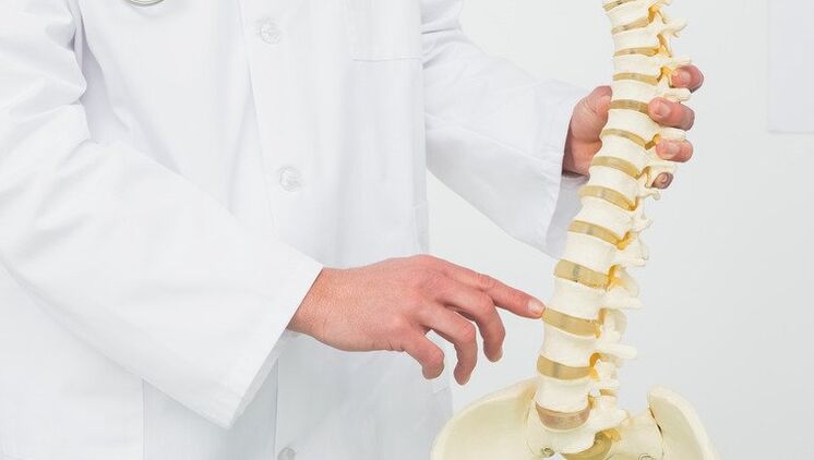 The doctor demonstrates the development process of osteochondrosis.